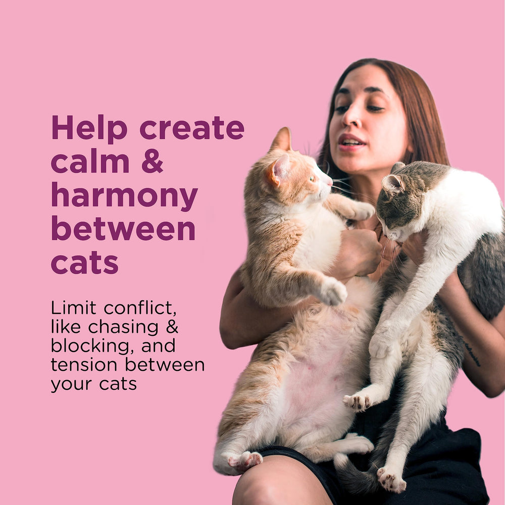 Comfort Zone Multicat Diffuser refill pack in 30 days maintains continuous calming support.