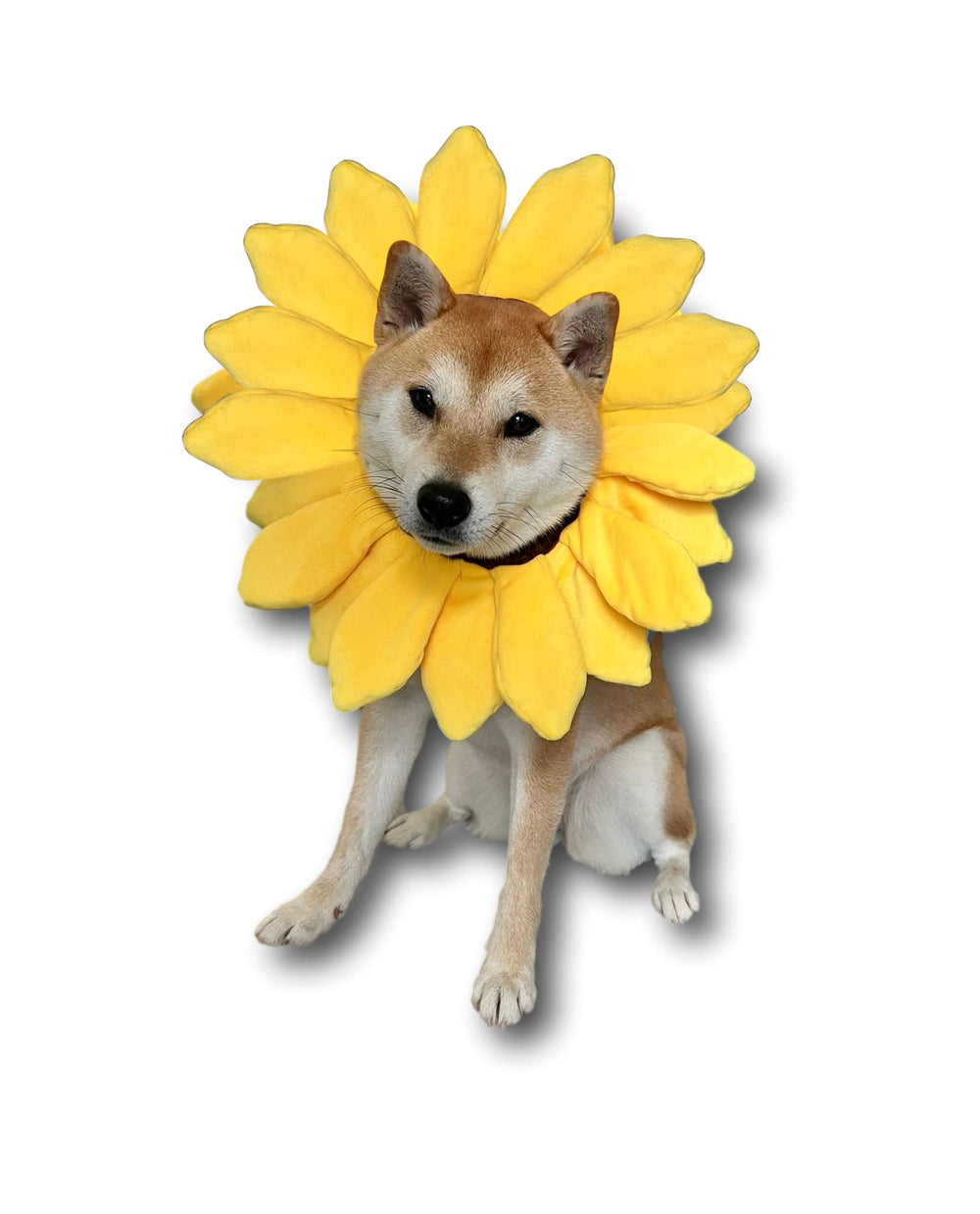ComfyCamper sunflower pet costume detail, ideal for Halloween or daily dress-up with pets.