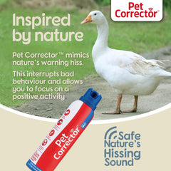 Company of Animals Pet Corrector dog training session illustrates calm classroom-style practice.