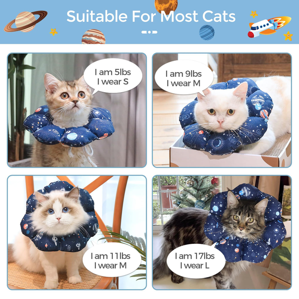 ComSaf cat cone collar prevents licking while eating and drinking