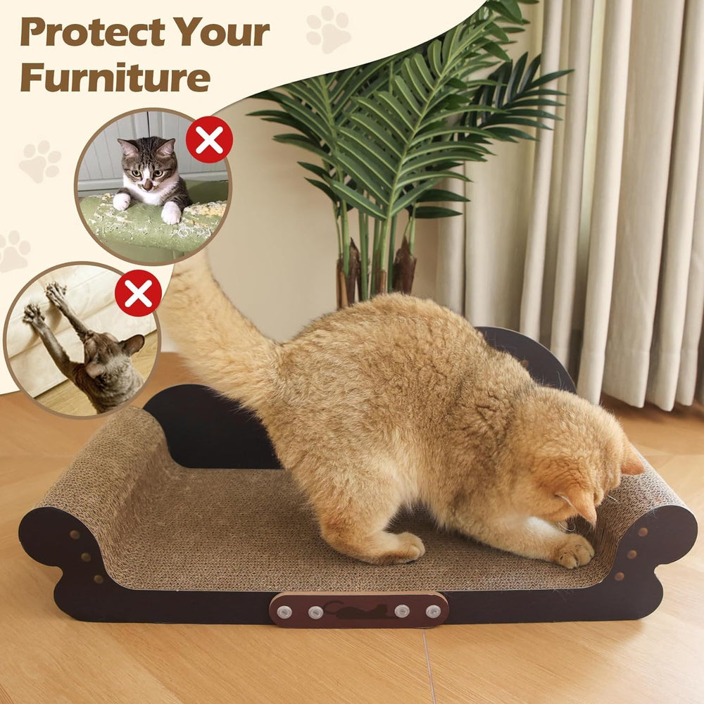 ComSaf easy-setup shot promotes three-step assembly in minutes.