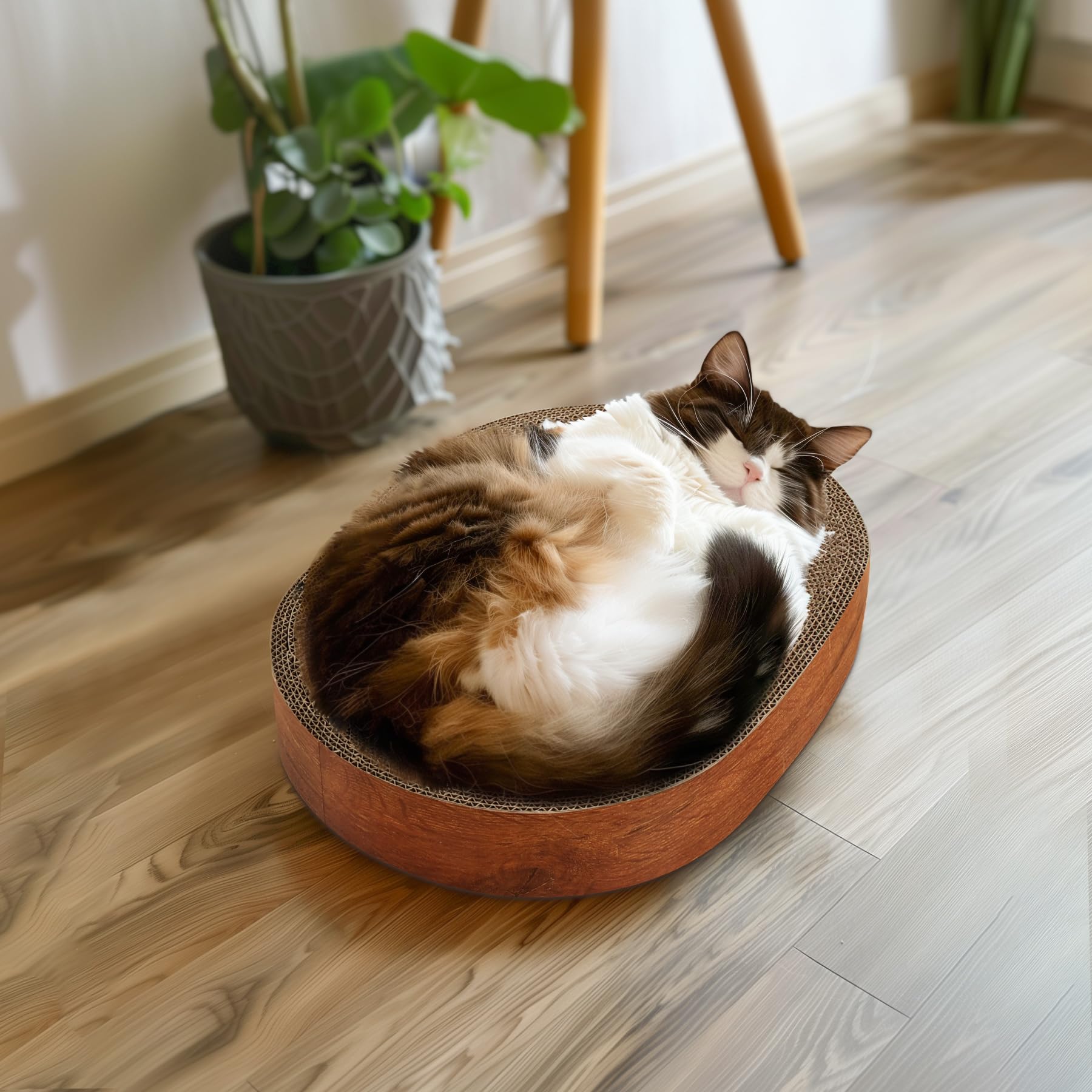 ComSaf recyclable cardboard material for eco-friendly cat care.