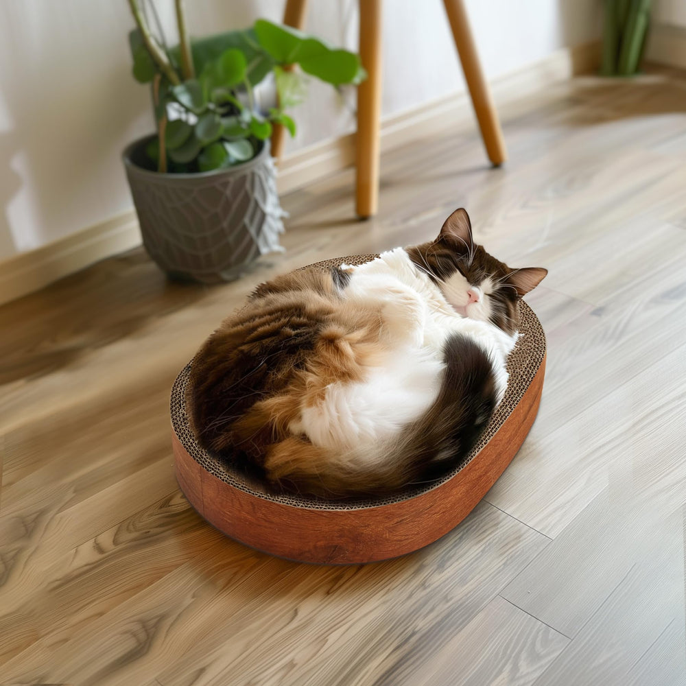 ComSaf recyclable cardboard material for eco-friendly cat care.
