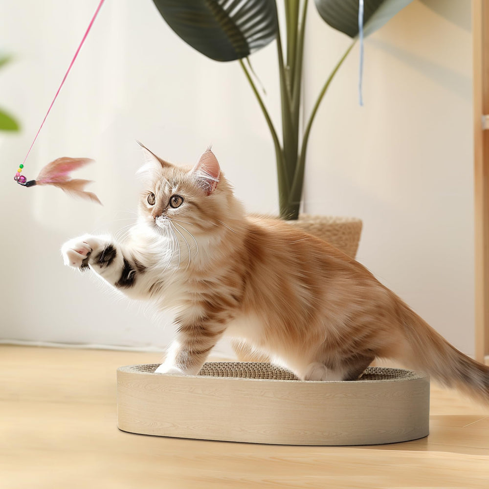 ComSaf durable oval bed for kittens offers cozy, supported lounging.