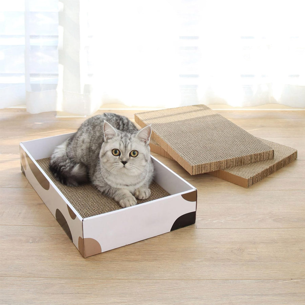 ComSaf easy-to-replace boards for quick refresh of scratching surface.