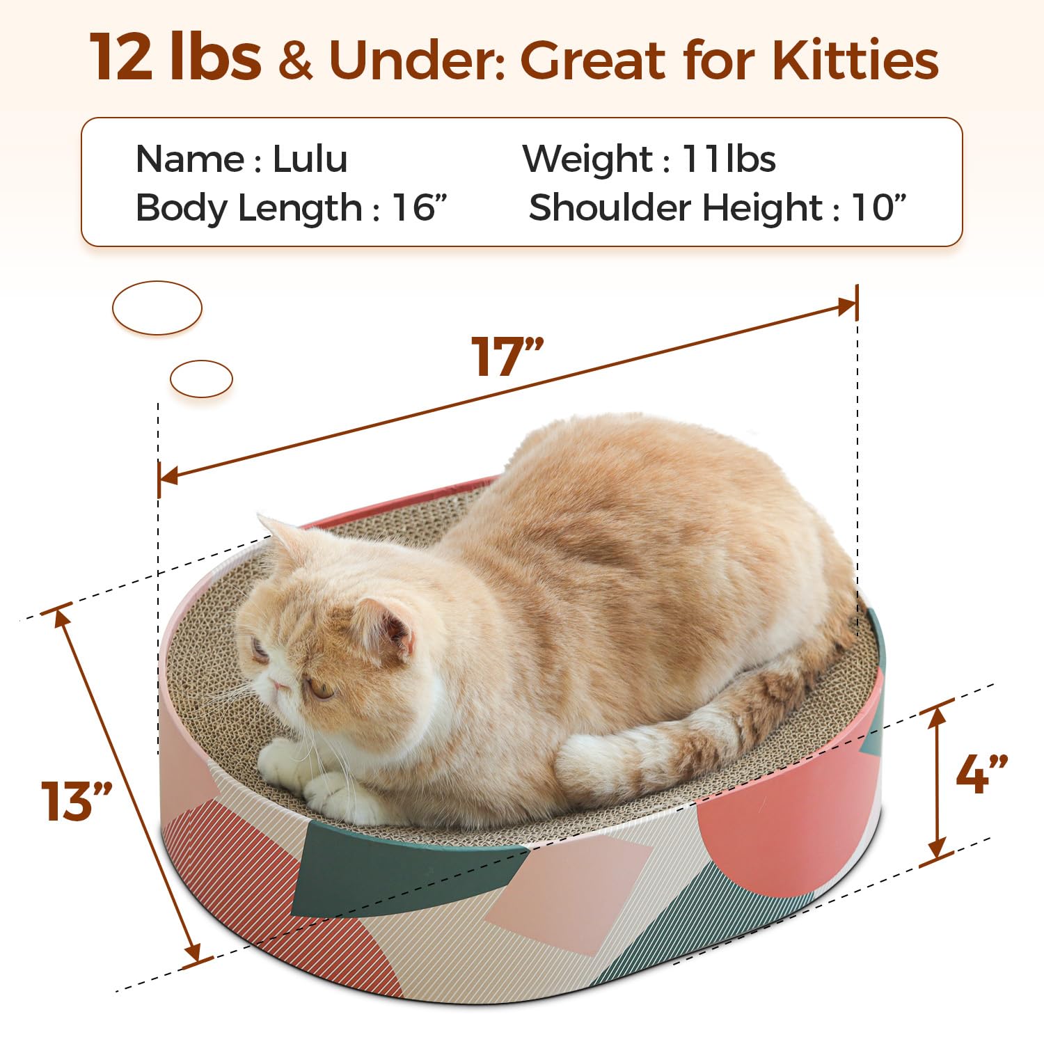 ComSaf oval sleep pod for cats promotes relaxed lounging and spine-friendly positioning.