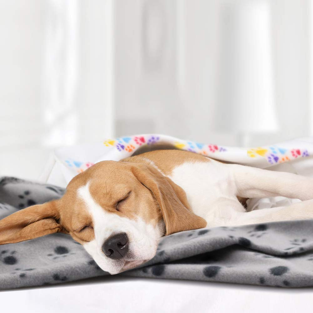Comsmart small-pet blanket emphasized for easy washing and care