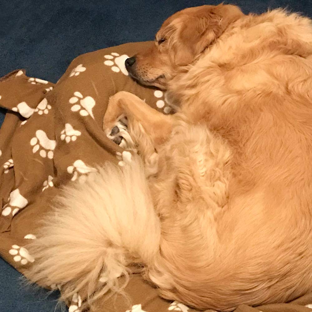 Comsmart pet blanket multi-use for naps and lounge spaces