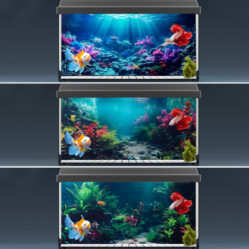 COMSUN colorful fish habitat background complements vibrant pet fish