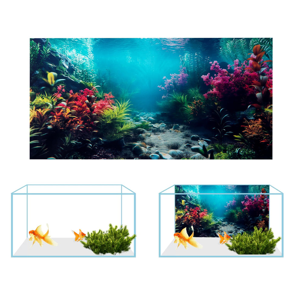 COMSUN sunlit reef backdrop creates bright depth and immersive scenery.