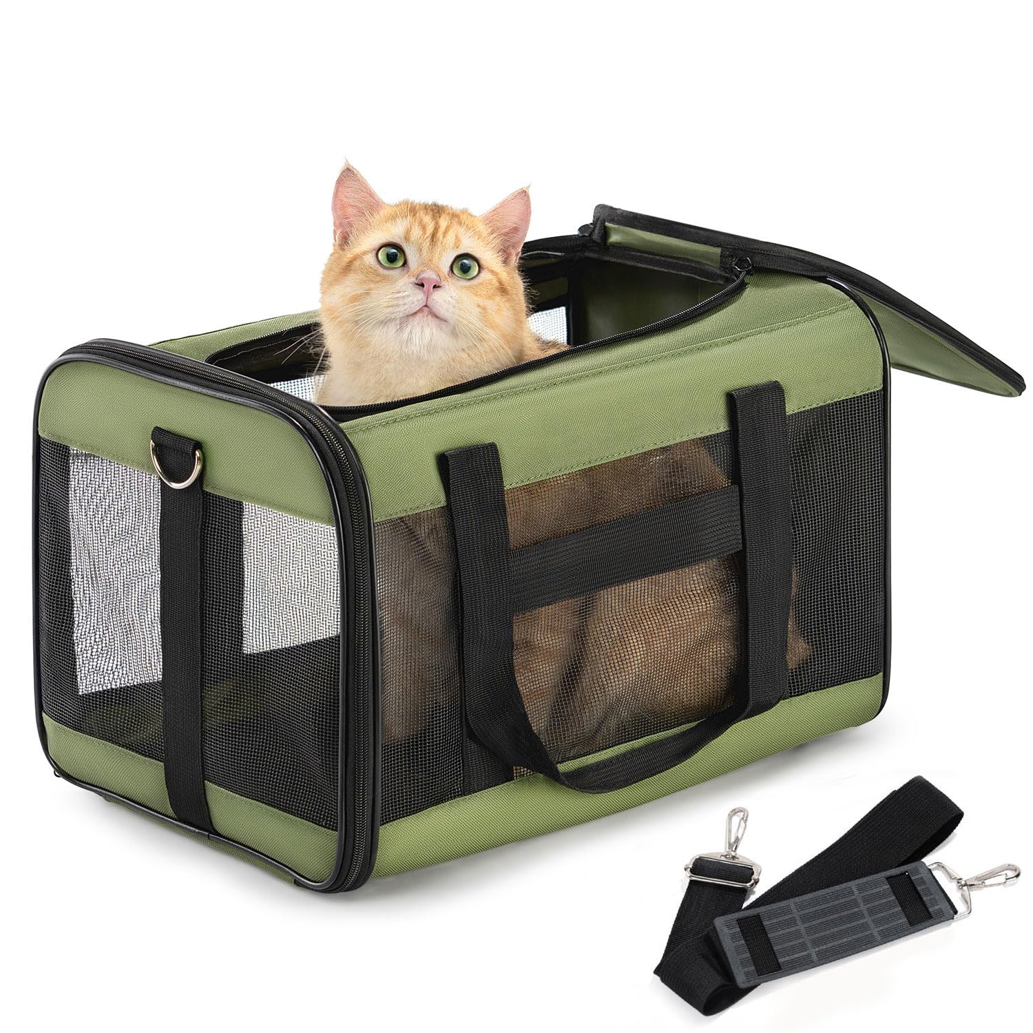 Conlun Cat Carrier airline-approval: compact travel for your cat.