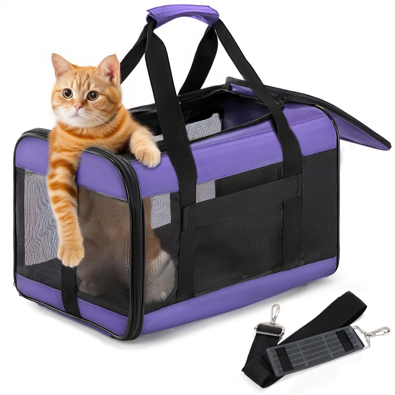 Conlun Cat Carrier purple top view for travel