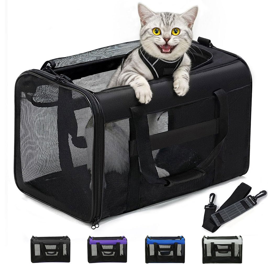 Conlun cat carrier with four-sided mesh top view for airy travel.