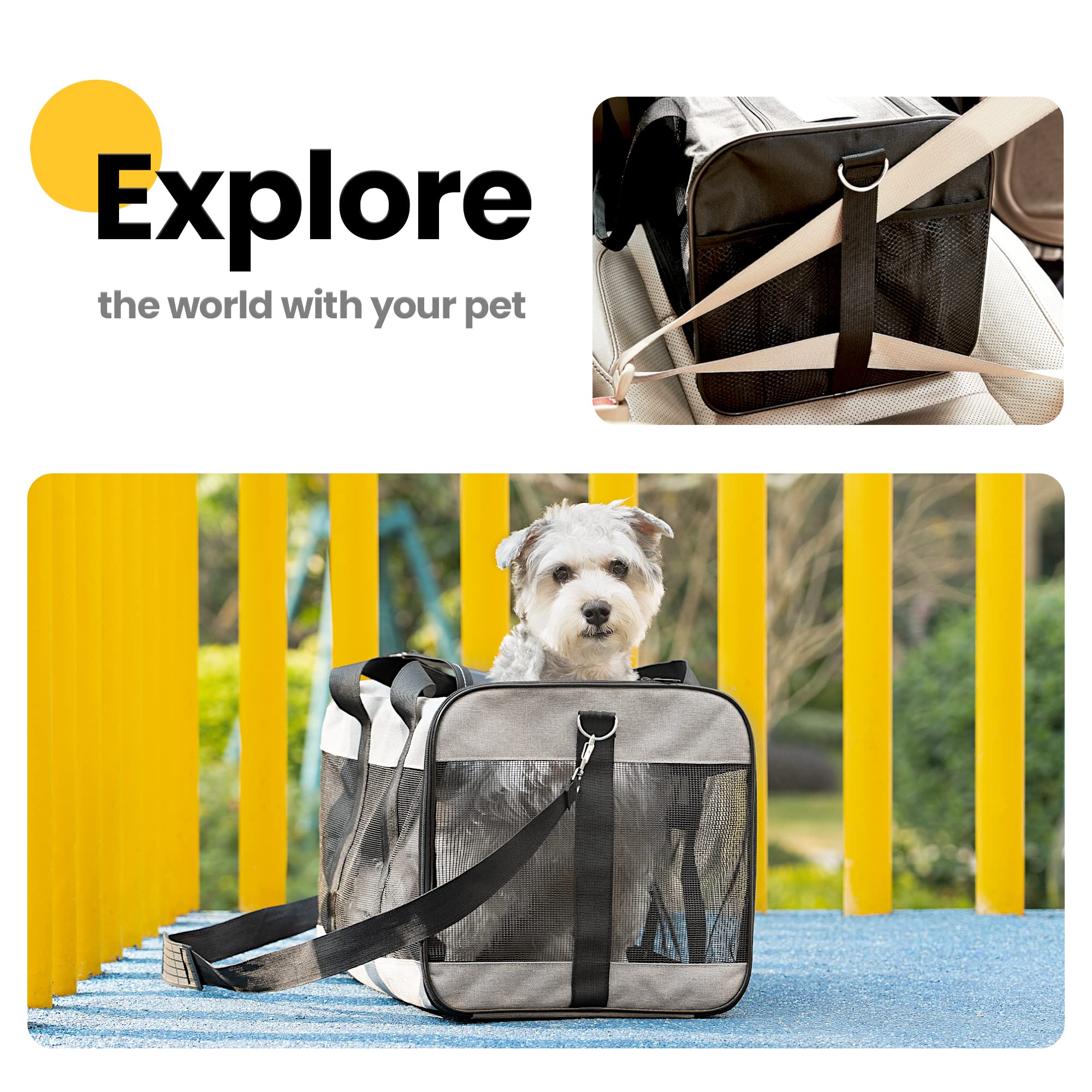 Conlun Cat Carrier travel-ready for vet visits with pets