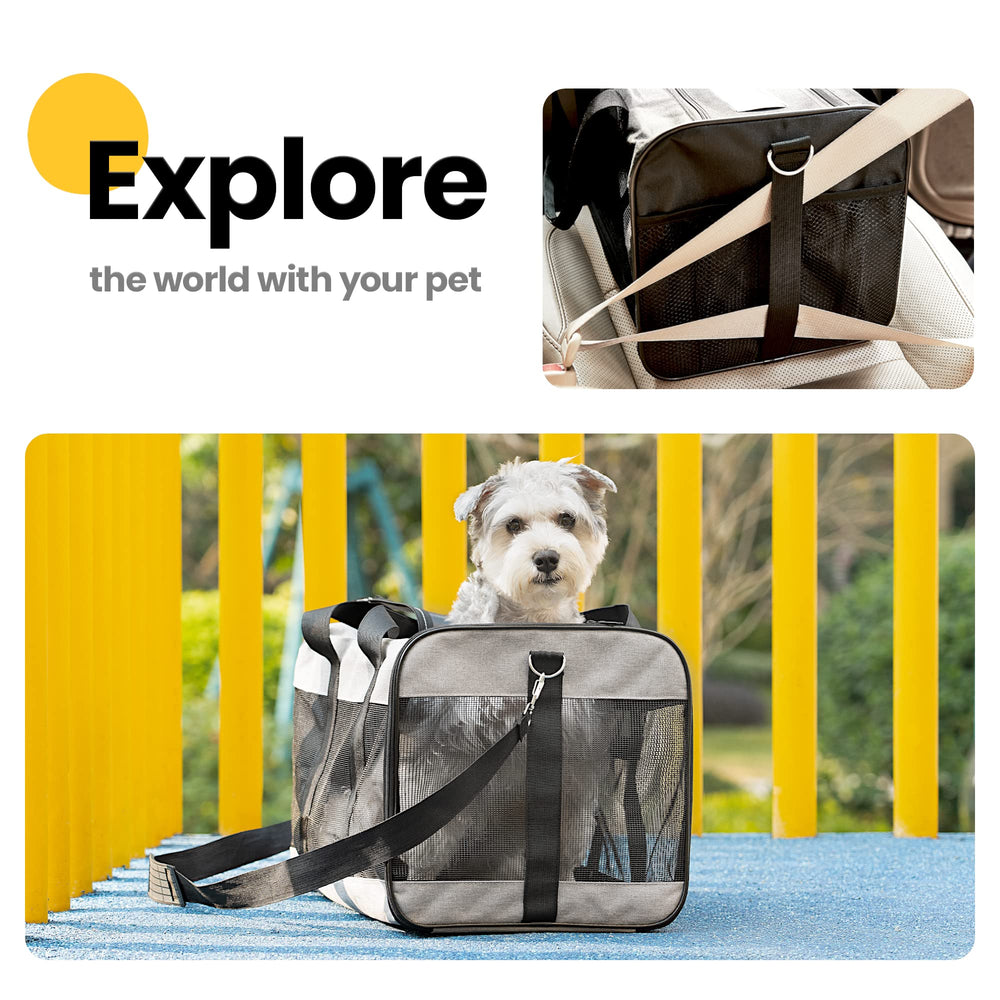 Conlun Cat Carrier travel-ready for vet visits with pets