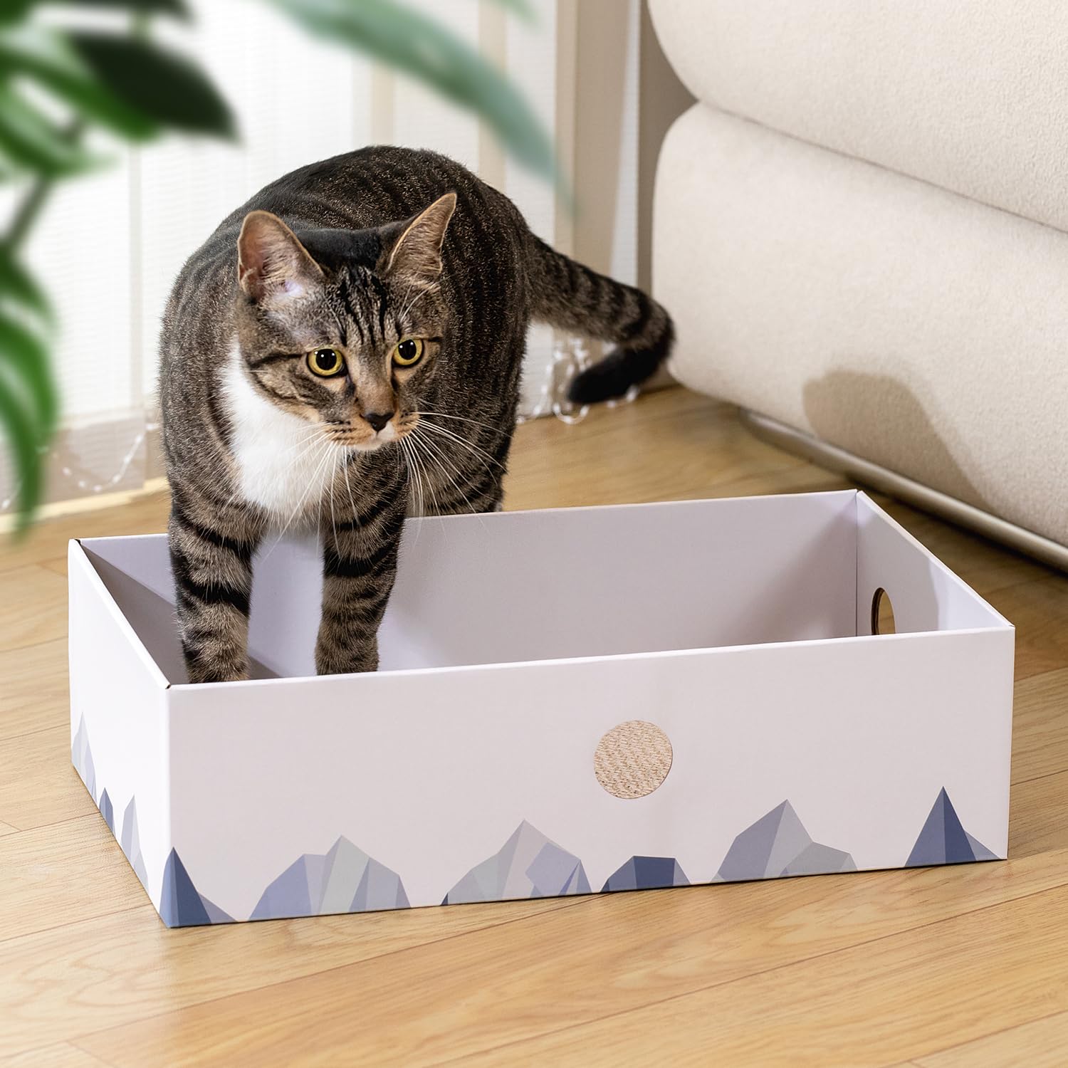 Conlun durable materials withstand enthusiastic scratching sessions.