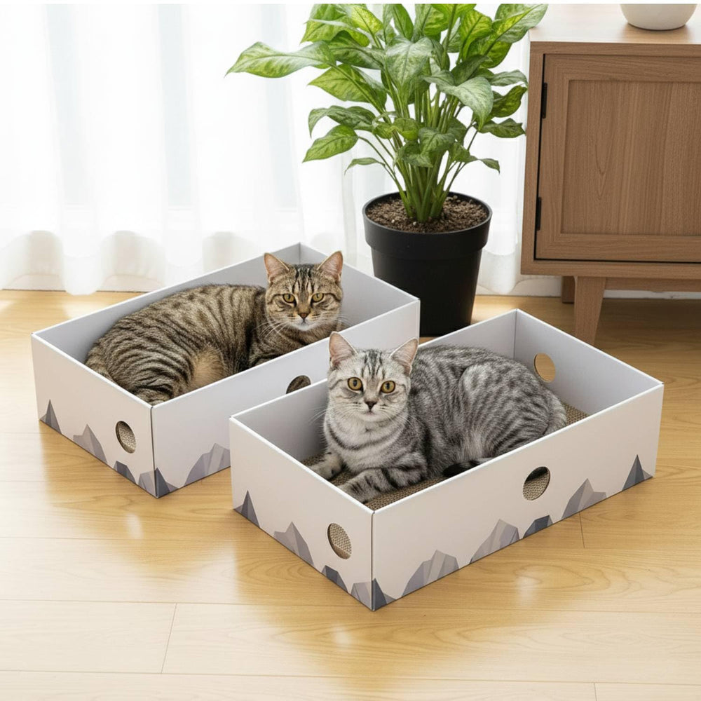 Conlun heavy-duty cardboard scratcher supports long-lasting play for active cats.