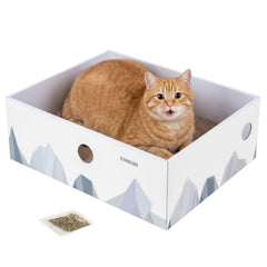Conlun cat scratcher box with three-layer pads for durable scratching and play.