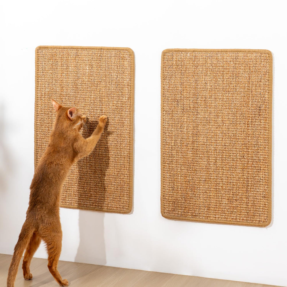 Conlun sisal cat scratch pad wall mount shows durable natural material for indoor cats