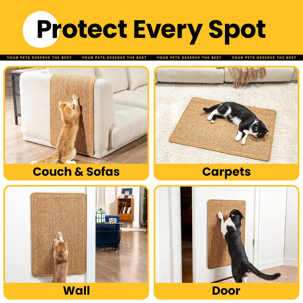 Conlun two-pack value provides budget-friendly solution for multi-cat homes