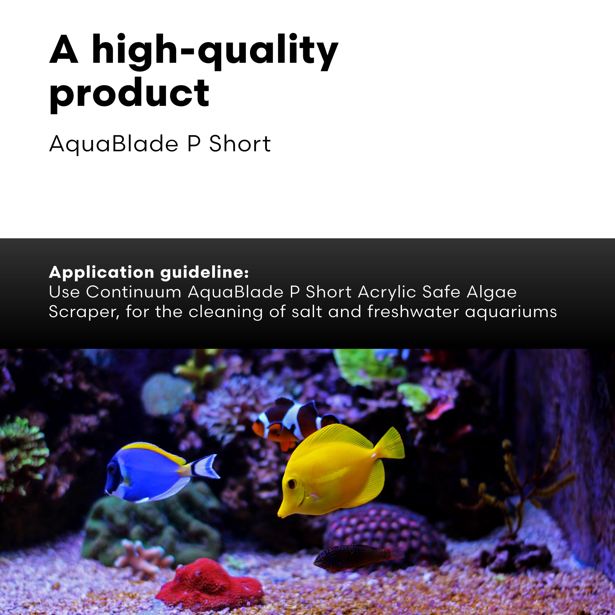 Continuum AquaBlade P 316 stainless steel blade for tough algae removal.