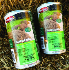 Control Solutions Surrender Fire Ant bait granules on turf attracting foraging ants.