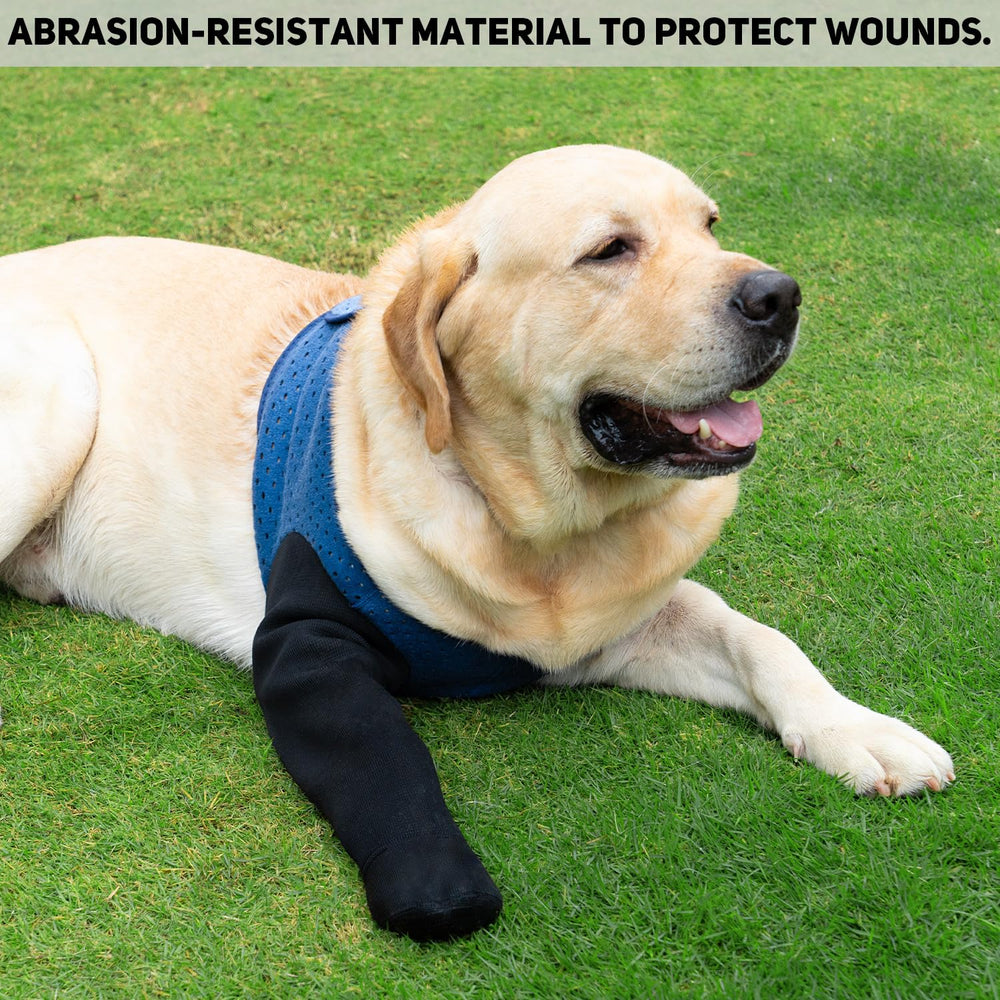 COODEO blue 2XL-right-fit boots adapt to larger dogs.