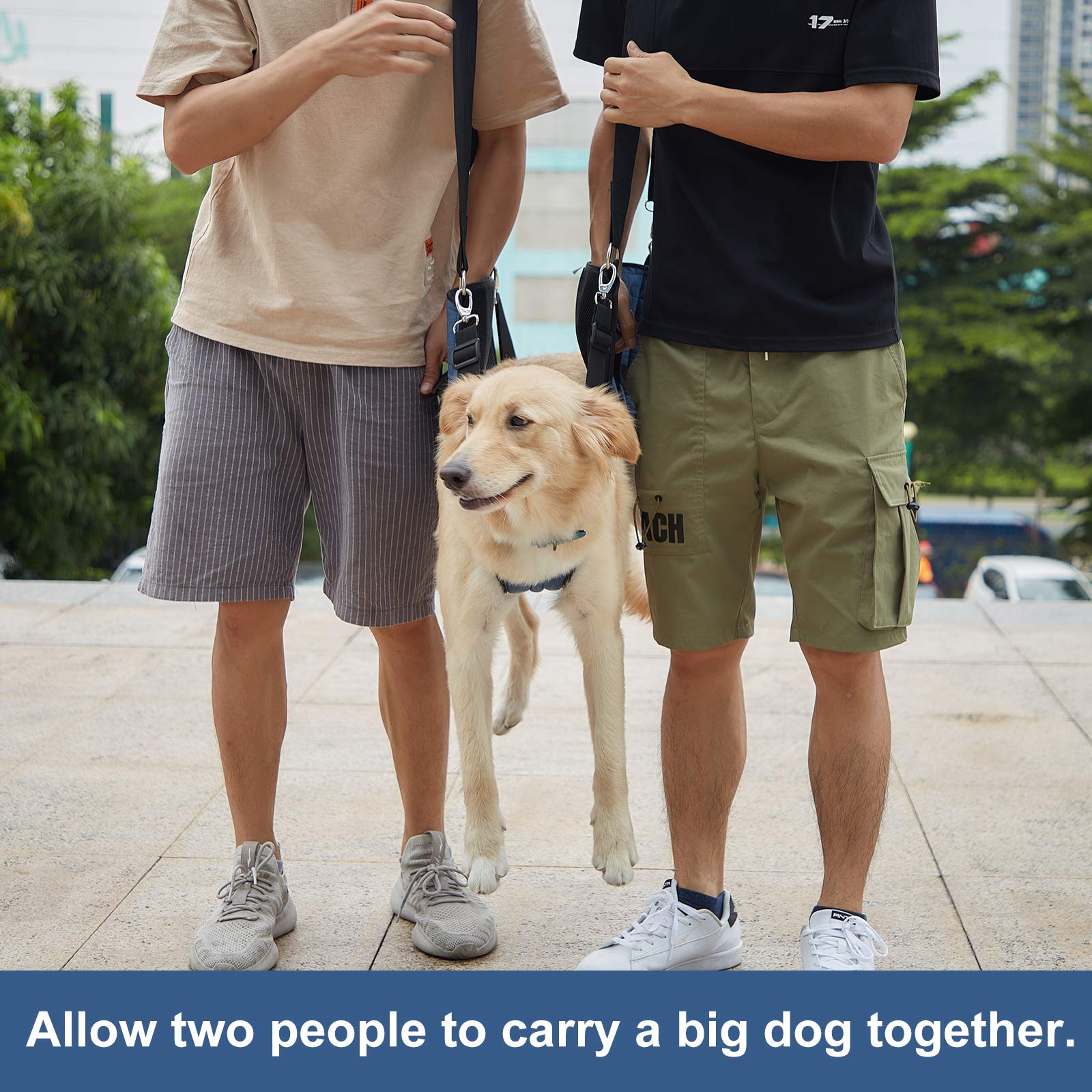 Coodeo sling assists nail trimming by lifting the dog safely.