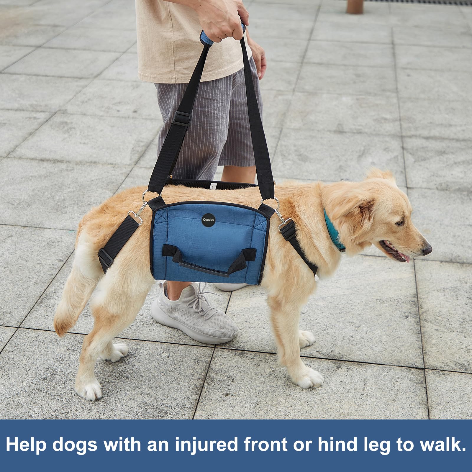 Coodeo sling side view demonstrates full body support during transfers.