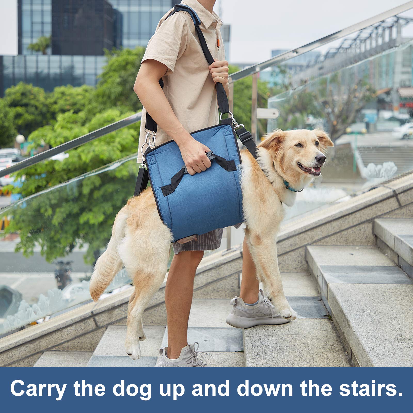 Coodeo sling close-up reveals sturdy straps and reliable fasteners.