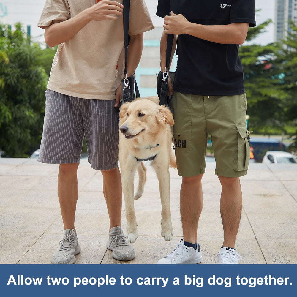 COODEO dog carrier during home nail care session
