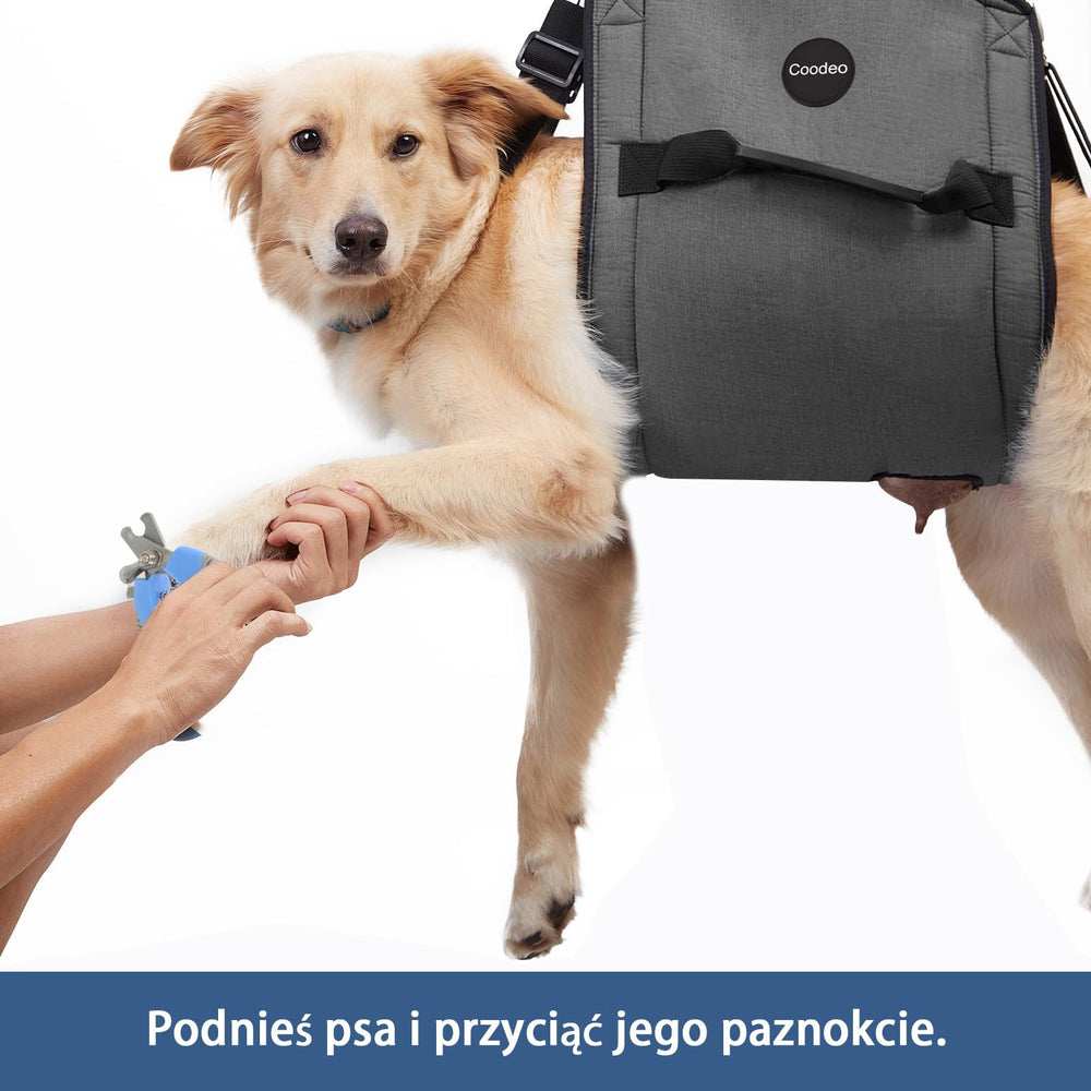 COODEO rehabilitation mobility support for home exercises and gentle therapy