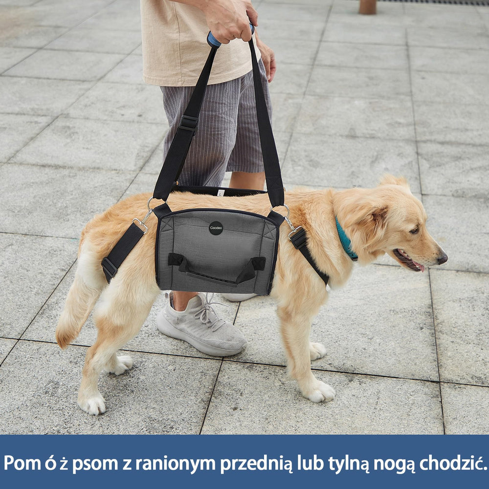 COODEO emergency backpack with leg support to assist lifting pets