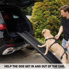 COODEO Mobility adjustable straps ensure secure, comfortable fit during activities
