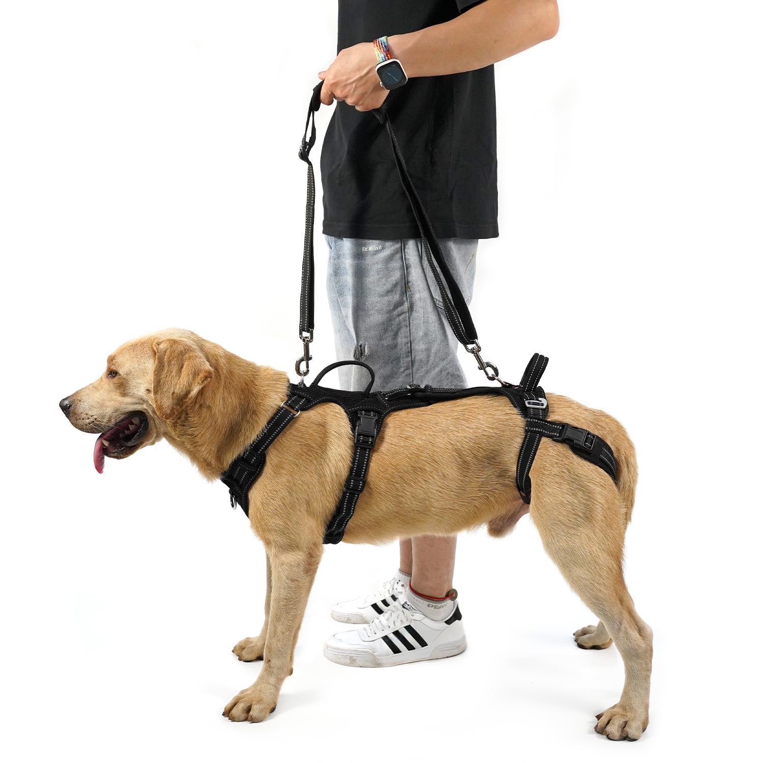 Coodeo Mobility Dog Lift Harness front view shows easy one-minute wear for stair access