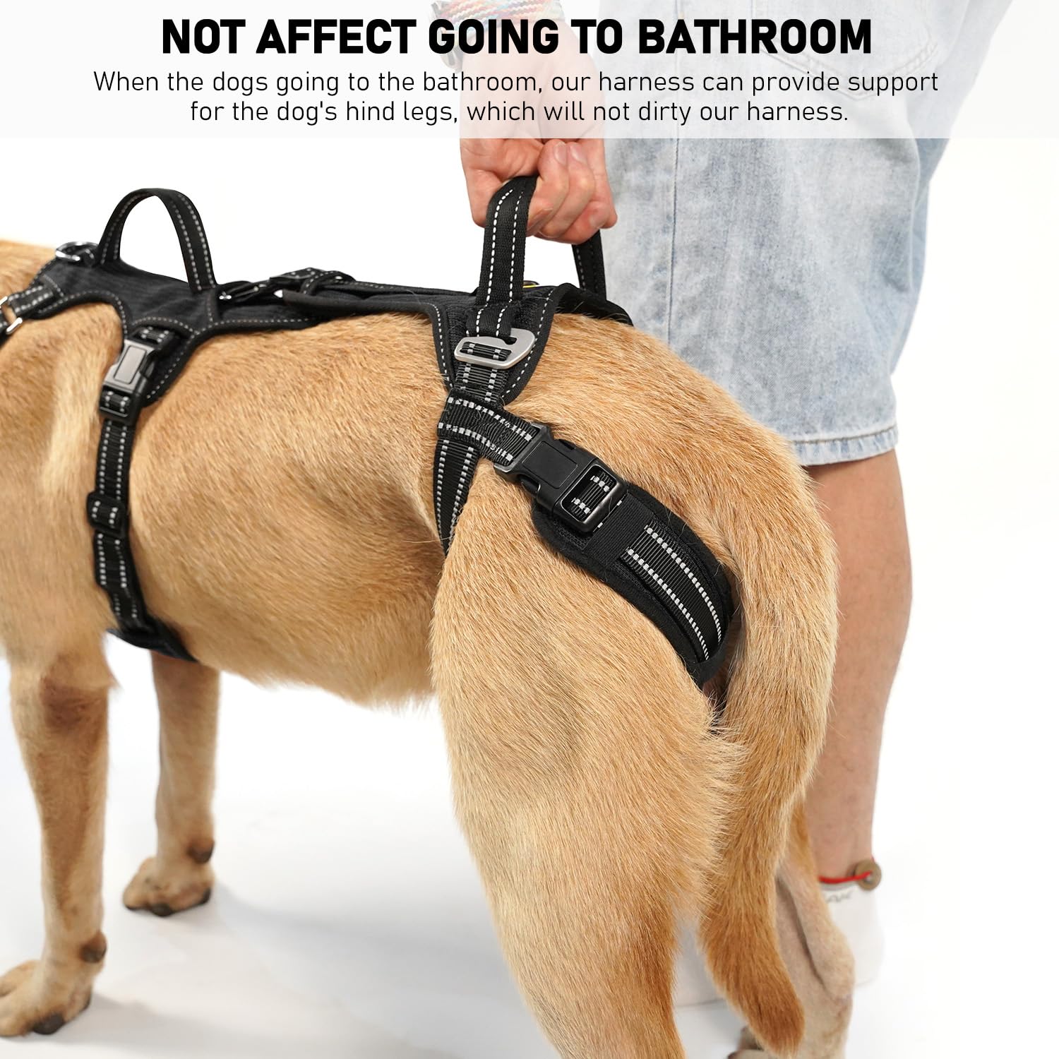 COODEO Mobility washable design simplifies daily cleaning