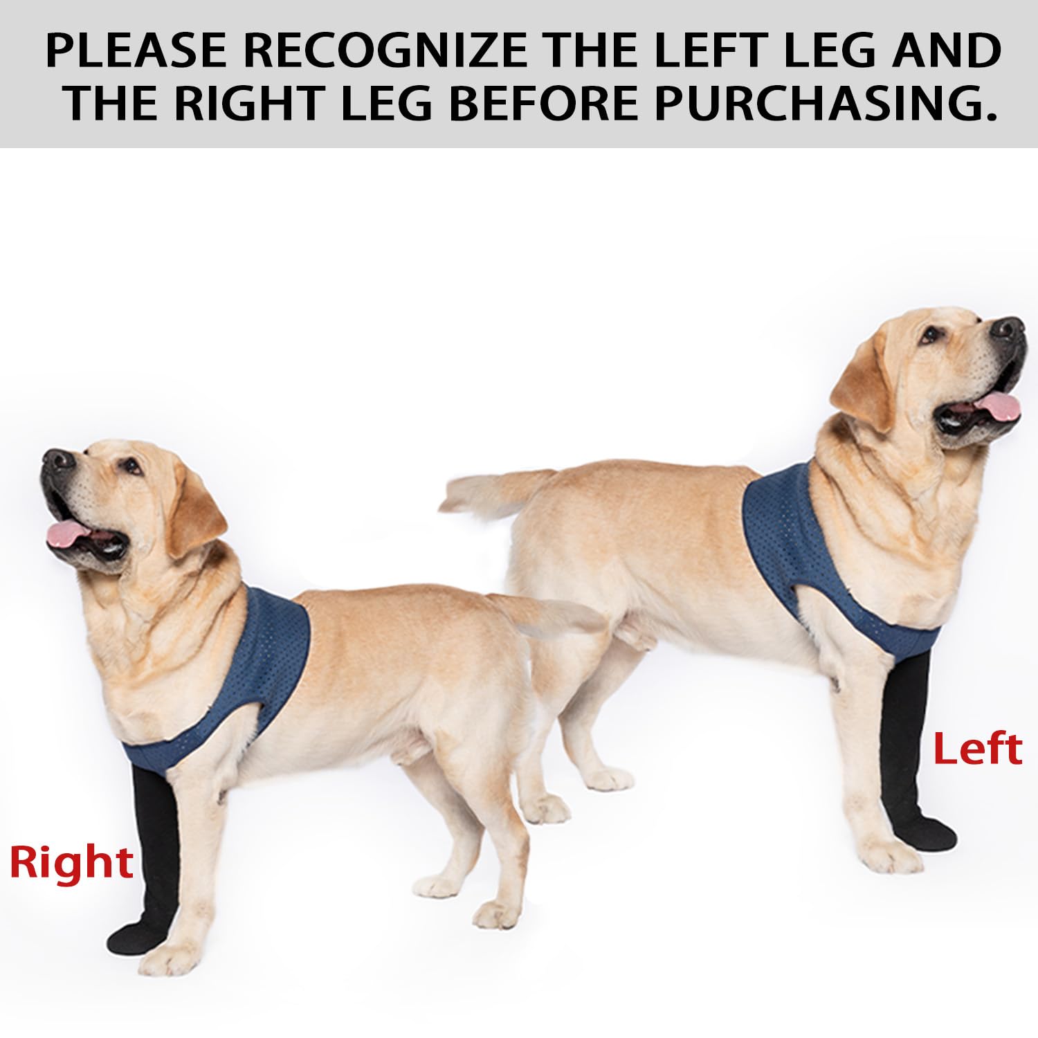 COODEO non-slip bottom paw socks blue left secure indoor wear.