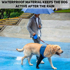 COODEO paw protectors waterproof sleeve shields paws during daily activities