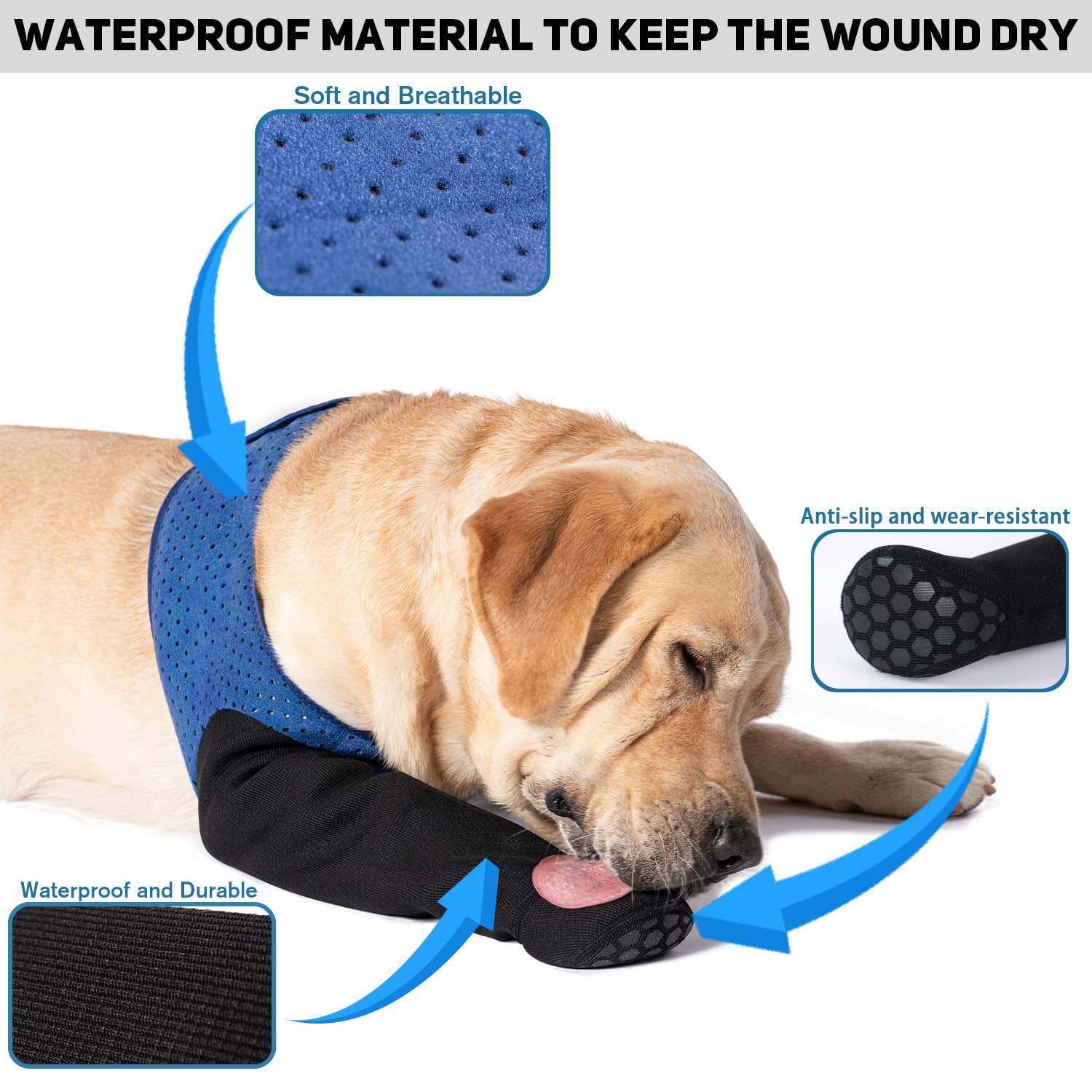 COODEO paw protectors provide wound-protection during indoor play.