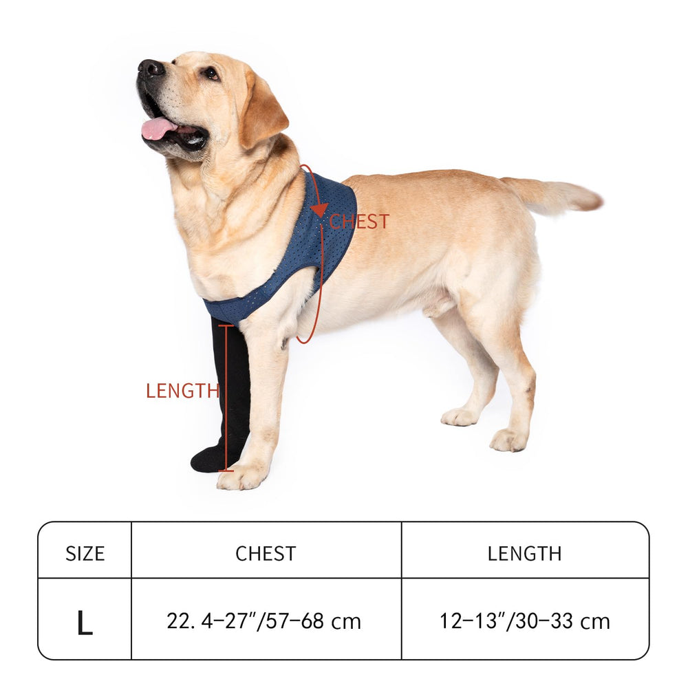 COODEO quick-apply design secures paws quickly.