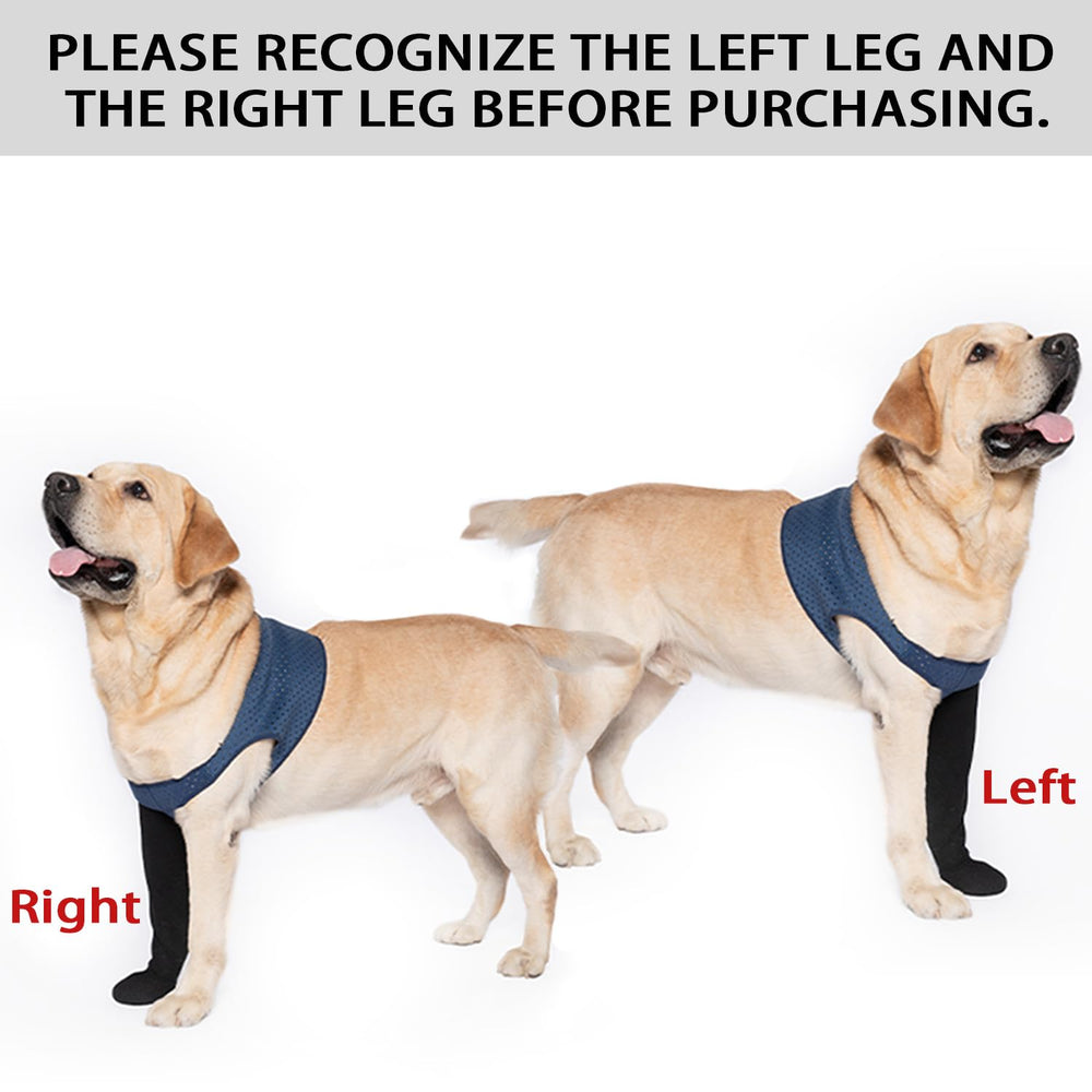 COODEO waterproof paw sleeve keeps paws dry in rainy walks.