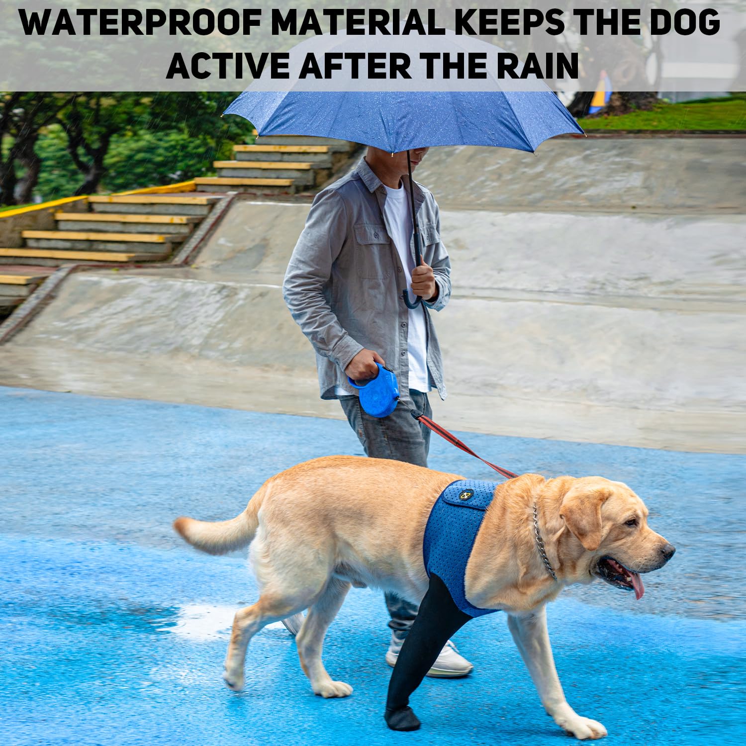 Coodeo waterproof sleeve shoes guard paws against moisture for faster drying.