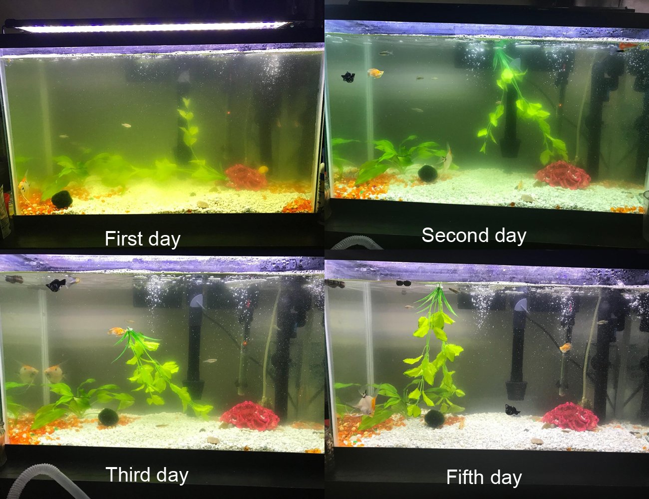 COODIA internal green water killer filter with UV pump, side view, slim profile.