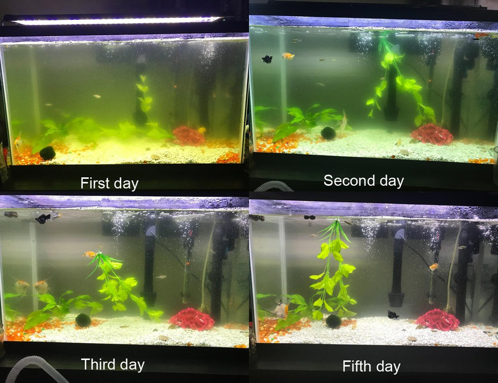 COODIA internal green water killer filter with UV pump, side view, slim profile.