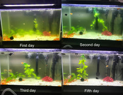 COODIA internal green water killer filter with UV pump, side view, slim profile.