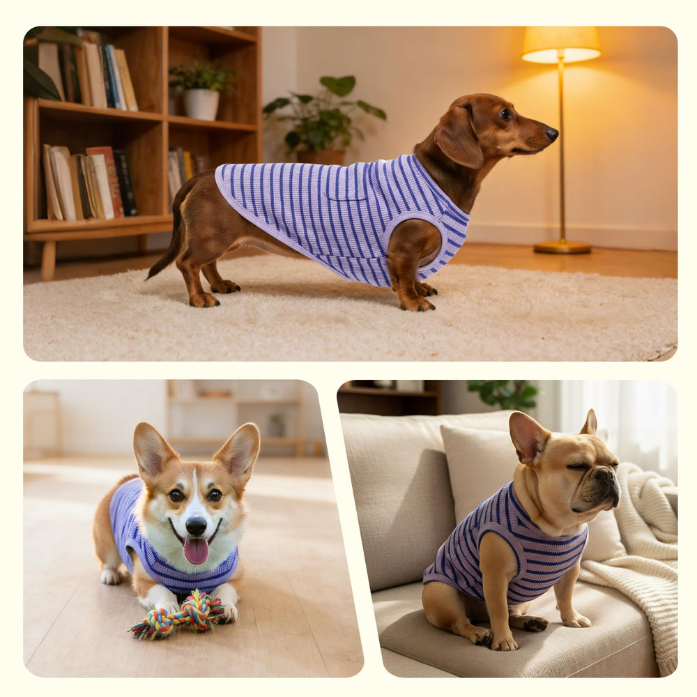 COOHAMS stripe shirt care instructions: wash cold and air dry
