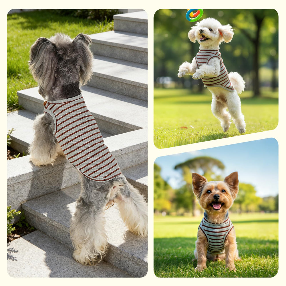 COOHAMS stripe shirt on a small dog model during play