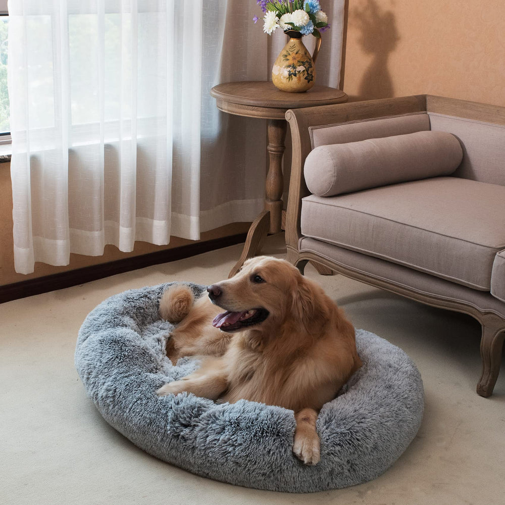Coohom Oval Calming Donut Bed dog resting on bed in a calm home
