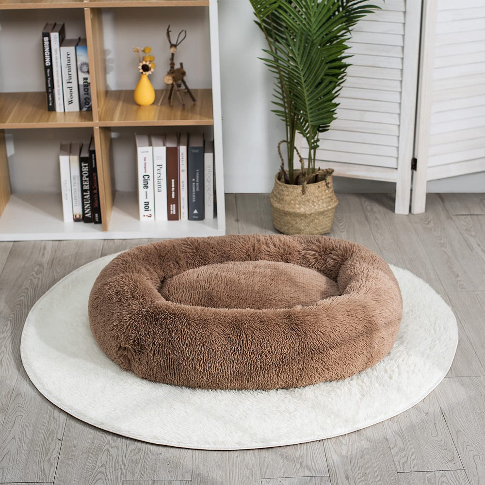 Coohom oval calming donut cuddler gradient color enhances room decor