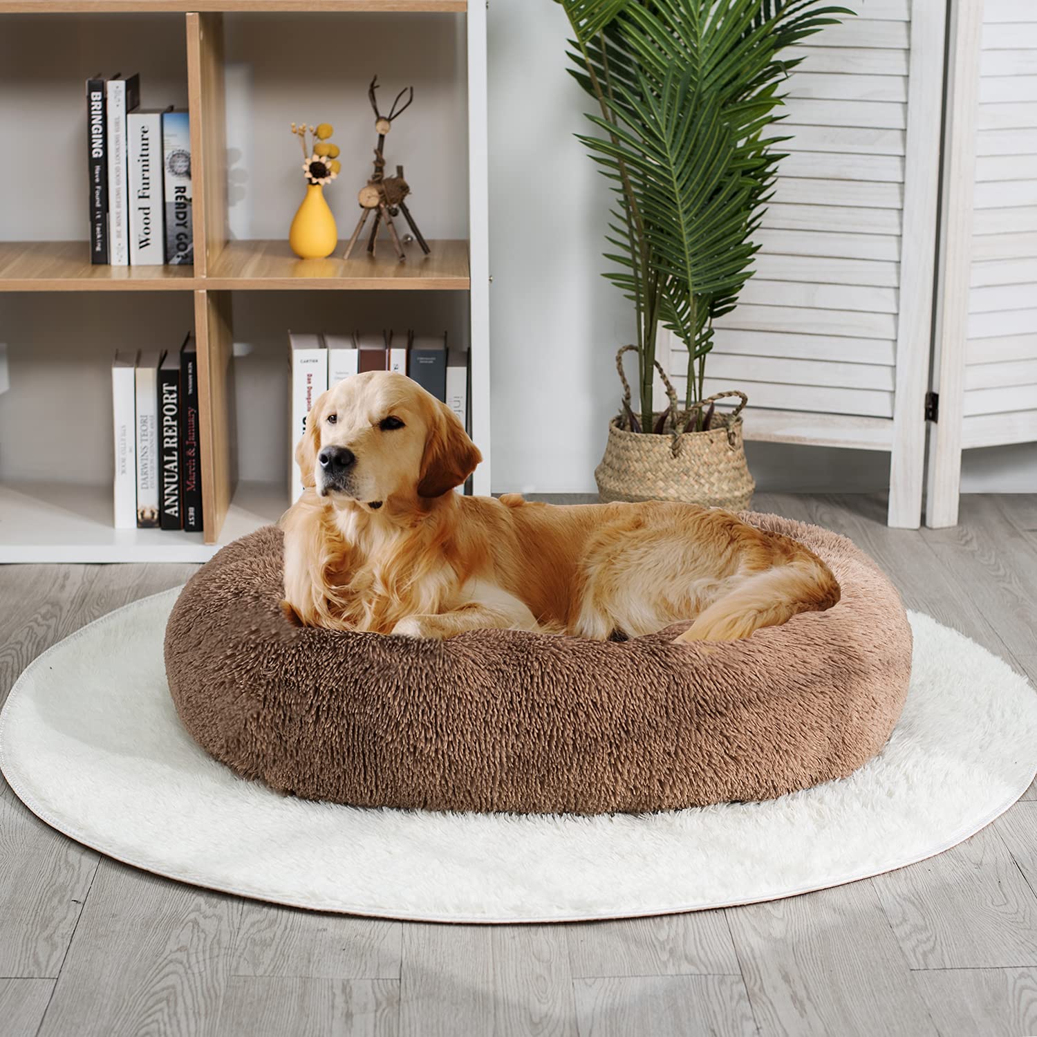 Coohom oval calming donut cuddler wash care instructions shown for easy maintenance